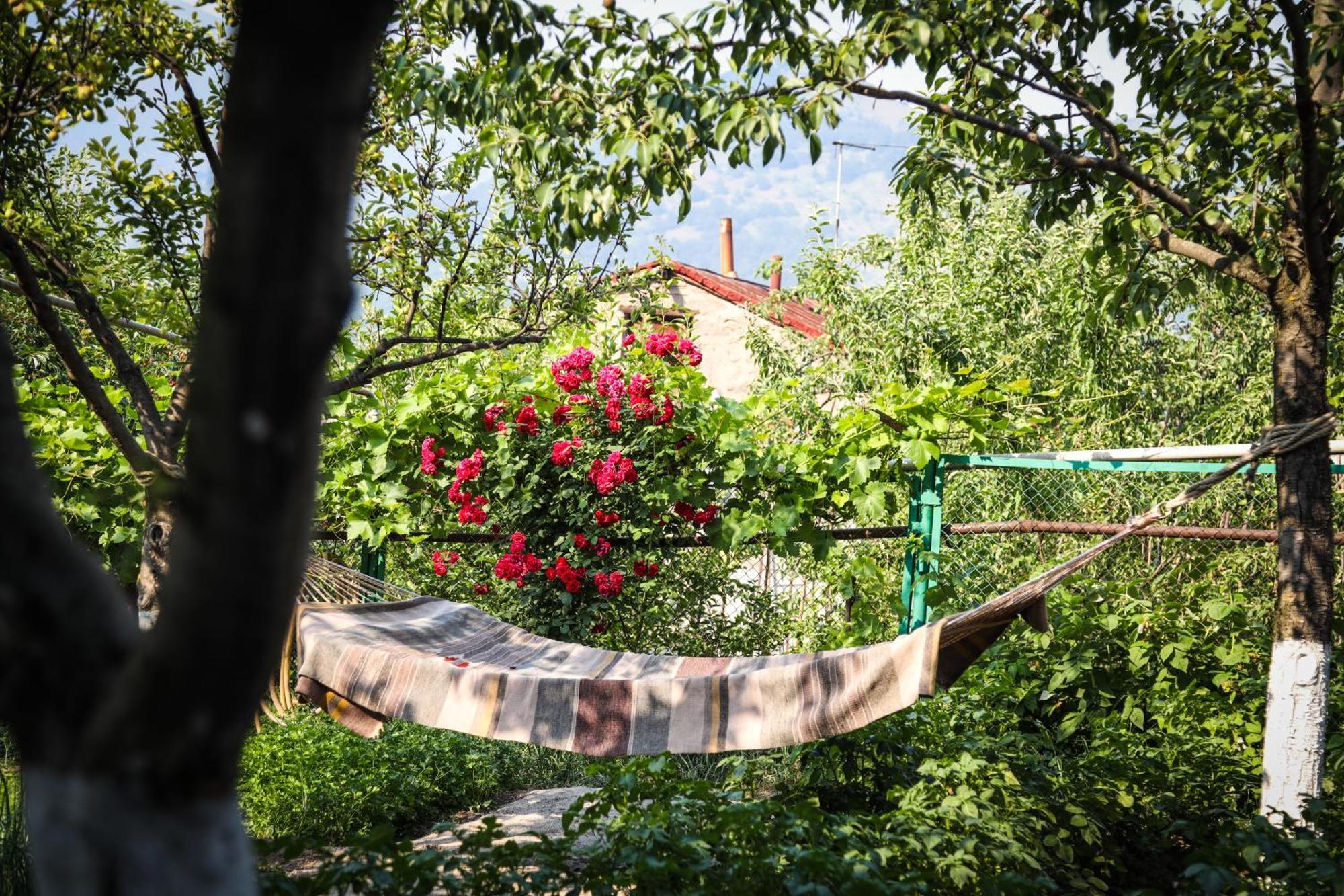 Hayi Tun Guest House Goris Dış mekan fotoğraf